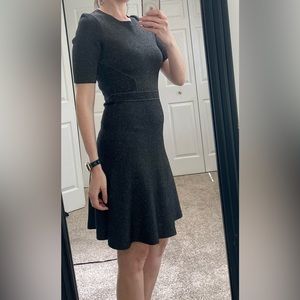 Banana Republic stretchy black and silver dress.